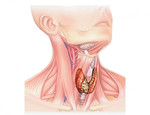 Операция опухолей щитовидной железы