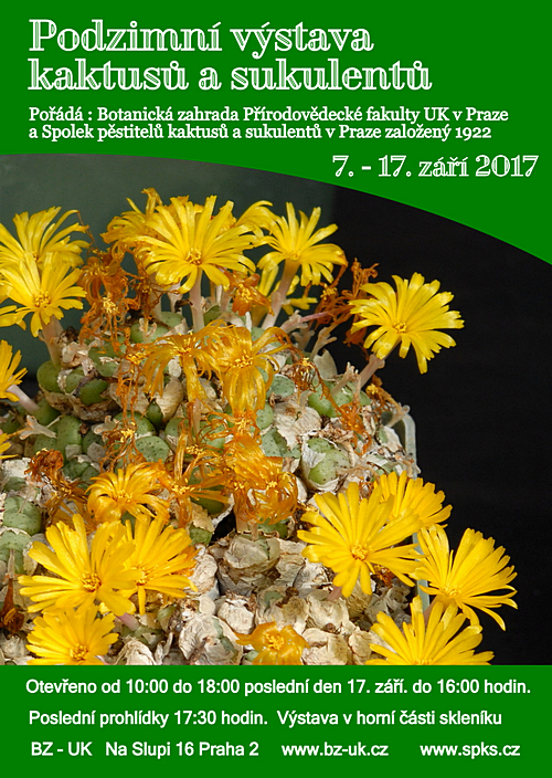 Выставка кактусов и суккулентов